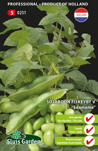 Soya bean Fiskeby V