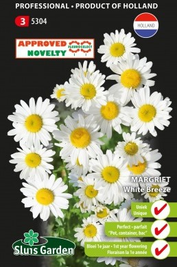 Daisy Ox-Eye White Breeze
