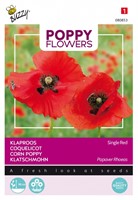 Klaproos Rood - Buzzy Poppy Flowers