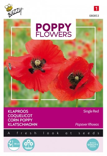 Corn Poppy Single Red - Buzzy Poppy Flowers