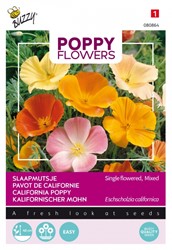 California Poppy single mixed - Buzzy Poppy Flowers