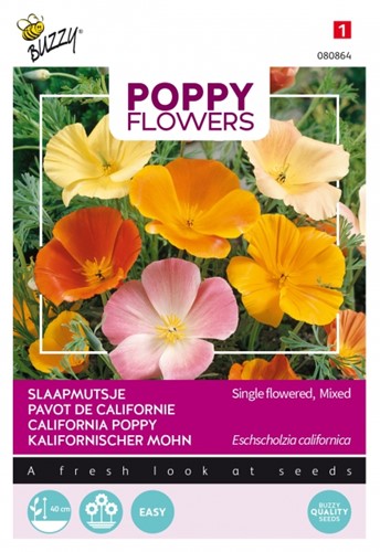 California Poppy single mixed - Buzzy Poppy Flowers