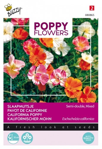 Californian Poppy semi-double flowered mixed - Poppy Flowers