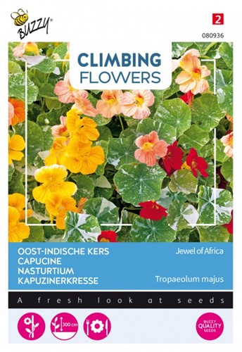 Nasturtium / Tropaeolum Jewel of Africa - Climbing Flowers