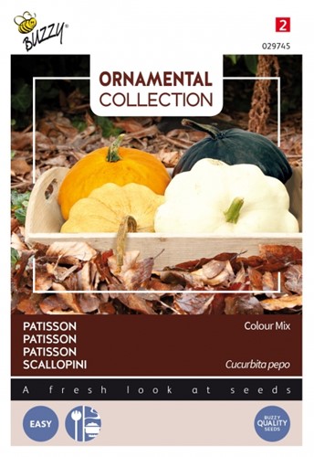 Courgette Patisson Colour Mix - Ornamental Collection