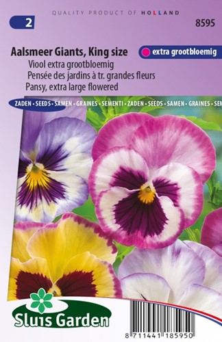 Pansy Aalsmeer Giants, King Size – Viola Wittrockiana