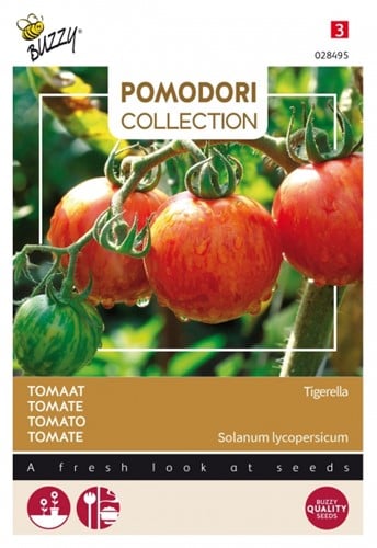 Tomato Tigerella - Pomodori Collection