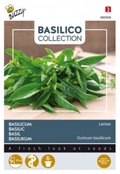 Lemon Basil - Basilico Collection