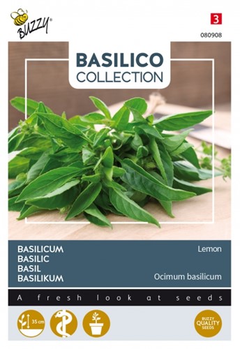 Lemon Basil - Basilico Collection