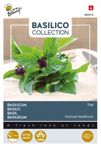 Basilicum Siam or Thai - Basilico Collection