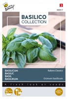 Basilicum Italiano Classico - Basilico Collection