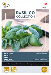 Basil Italiano Classico - Basilico Collection