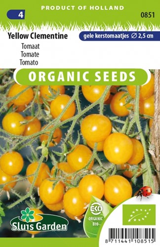 Tomato Yellow Clementine EKO