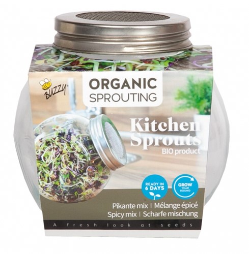 Organic Sprouting glass pot - Spicy Mix