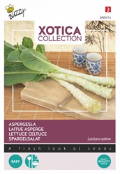 Lettuce Celtuce - Xotica Collection