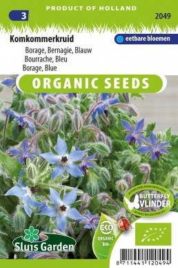 Borage Blue EKO - Borago officinalis
