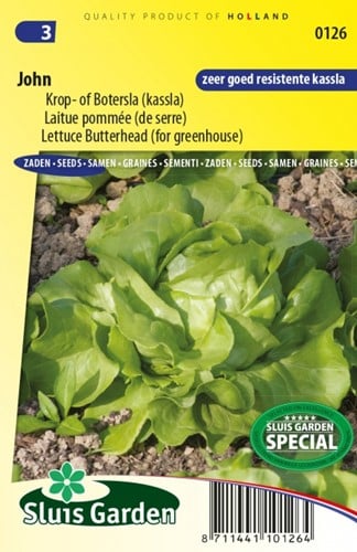 Lettuce Butterhead John