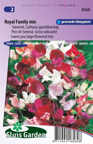 Sweet Pea Royal Family Mix – Lathyrus Odoratus