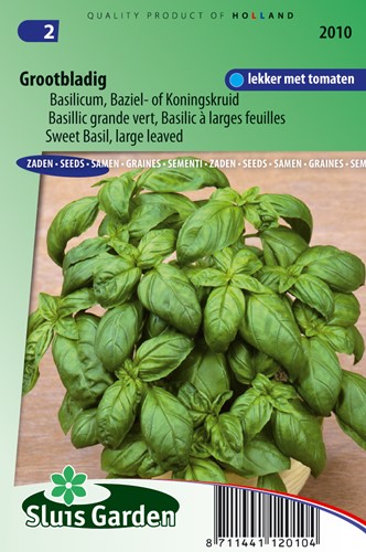 Basil, Sweet Large leaved - Ocinum