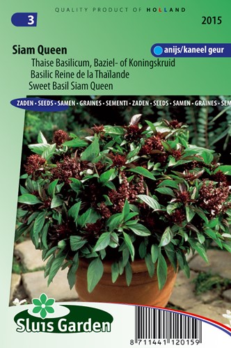 Basil, Sweet Siam Queen - Ocimum Basilicum