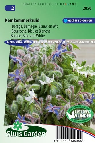 Borage Blue and White (Borago officinalis)