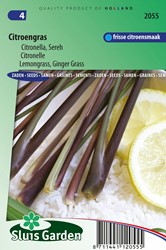 Lemongrass, Ginger Grass, Citronella / Sereh