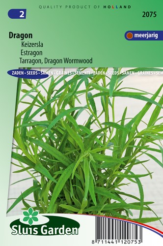 Tarragon, Dragon Wormwood (Artemisia dracunculus)