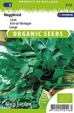 Lovage EKO - Levisticum Officinalis