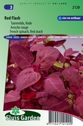 French spinach, Red orach Red Flash (Atriplex hortensis)