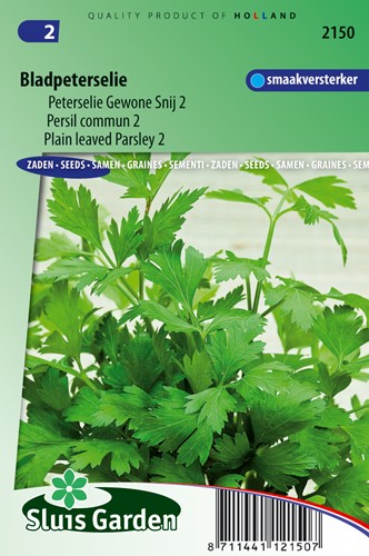 Parsley Plain Leaved 2 (Petros. hortense)