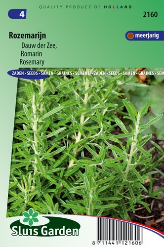 Rosemary