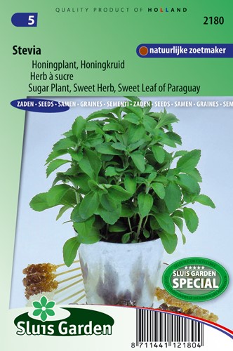 Stevia, Sugar Plant, Sweet Herb, Sweet leaf of Paraguay