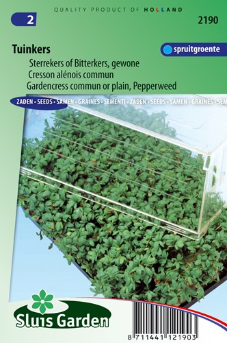 Cress, Common or plain, Pepperweed