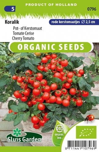 Cherry Tomato Koralik EKO