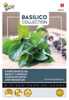 Basil Cinnamon - Basilico Collection