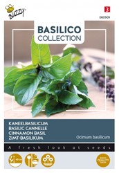 Basil Cinnamon - Basilico Collection
