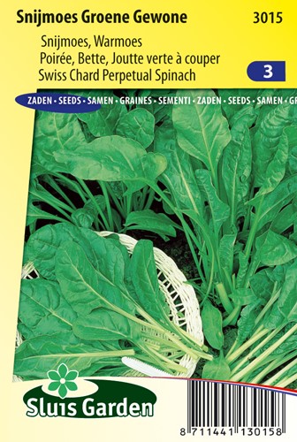 Swiss Chard, Perpetual Spinach Groene Gewone