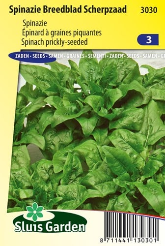 Spinach Breedblad Scherpzaad (Early spring and late autumn crop)