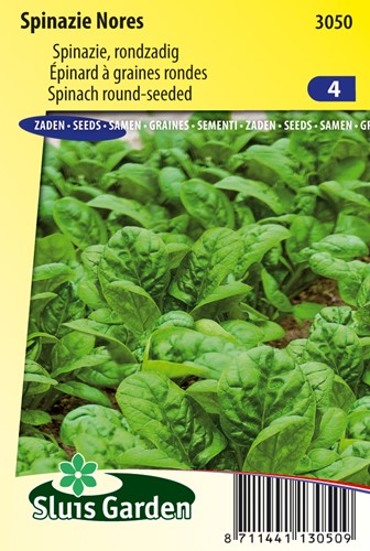 Spinach Nores (late spring and summer crop)