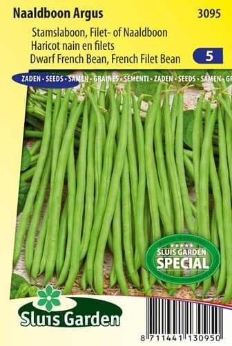 Dwarf French Filet Bean Argus - Phaseolus
