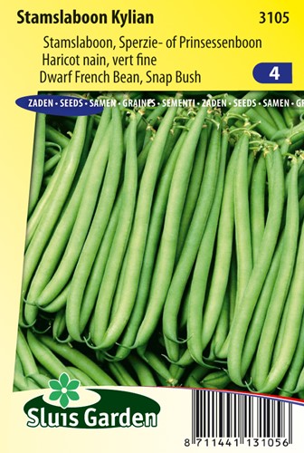 Dwarf French Bean Kylian - Phaseolus