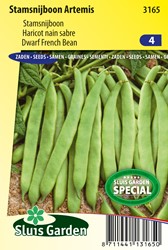 Dwarf French Snap Bean Artemis - Phaseolus