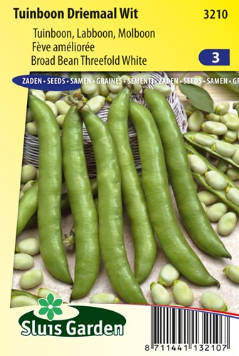 Broad bean Threefold white