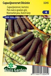 Marrowfat Pea Desiree (Medium high Dutch Grey)