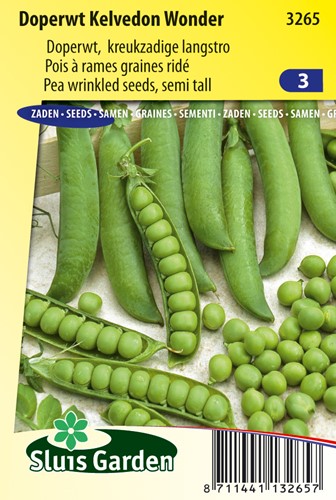 Pea Wrinkled seeded Kelvedon Wonder (60 cm)
