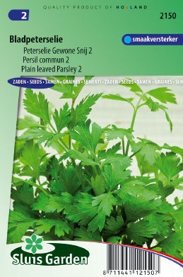 Parsley Plain Leaved 2 (Petros. hortense) - Parsley seeds - 1200 seeds