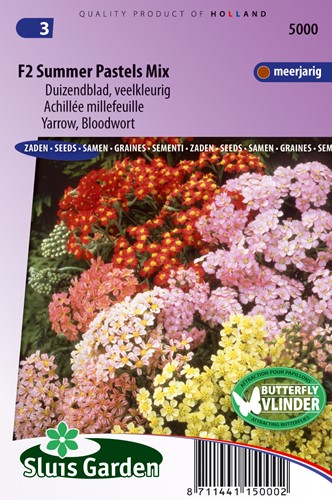Yarrow, Bloowort F2 Summer Pastels Mix - Achillea