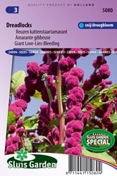 Love-Lies-Bleeding Dreadlocks - Amaranthus