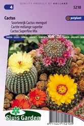Cactus Superfine Mix