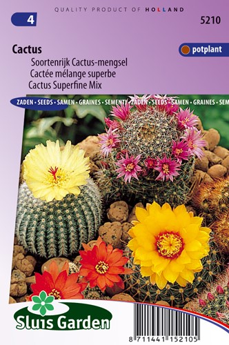 Cactus Superfine Mix